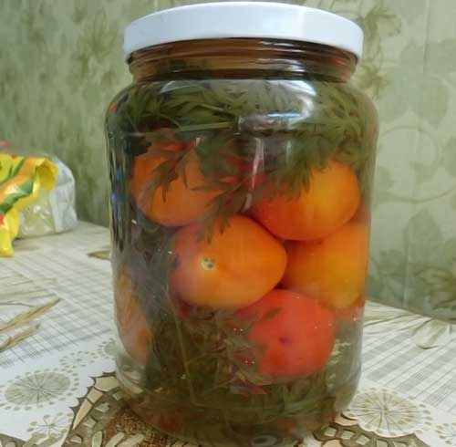 Маринованные помидоры с морковной ботвой