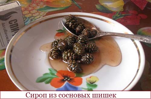 Сироп из шишек