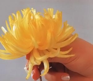 Хризантема из лука