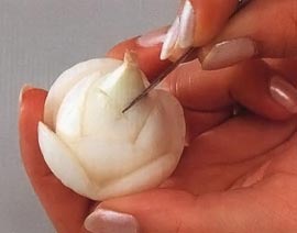 расположение лепестков розы