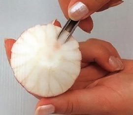 вырежьте лепестки ромашки