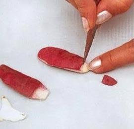 Руки