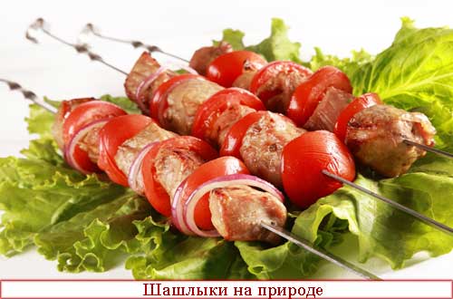 Шашлыки на природе